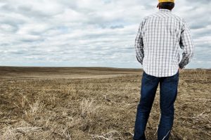 Photo shows a man with his back to the camera looking across a brown field
