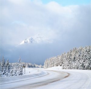 Photo shows a snowy road, with snow covered trees and a mountain in the distance.