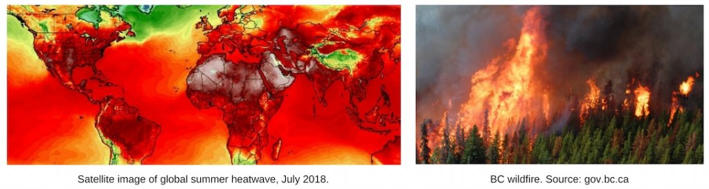 Two photos Les dix événements météorologiques les plus marquants par David Phillips. First one shows a satellite image of the earth, as a map, with temperatures displaying bright red over most of the earth. Second one shows a forest on fire.