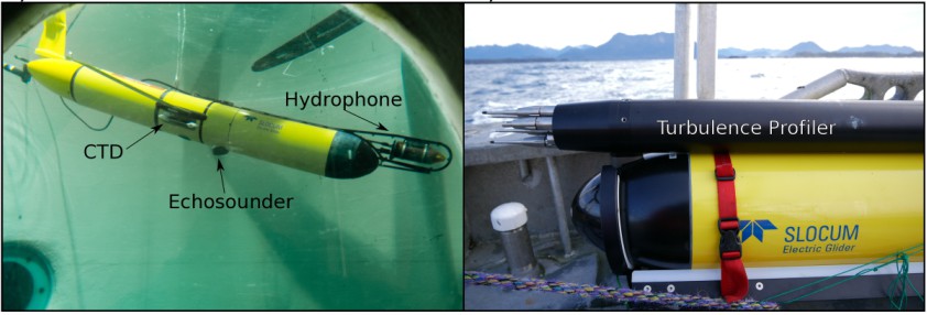 Photographs of the two different gliders used in this study of baleen whale habitats in Roseway Bay, NS. Both are physically similar, but have different pieces of equipment attached to them. 