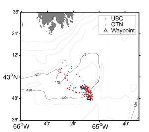 Map of 2017 glider tracks on Southeast slope of Roseway Basin.