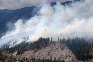 Photo shows a plume of smoke rising from a line of trees, for the story Les dix événements météorologiques les plus marquants au Canada en 2017 par David Phillips