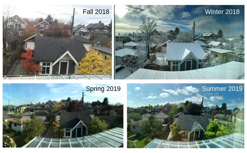 Four photos, all showing the same view from Haowen Qin's window, of houses, roofs and trees in the different seasons