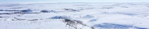 aerial view of tundra snow cover with some trees
