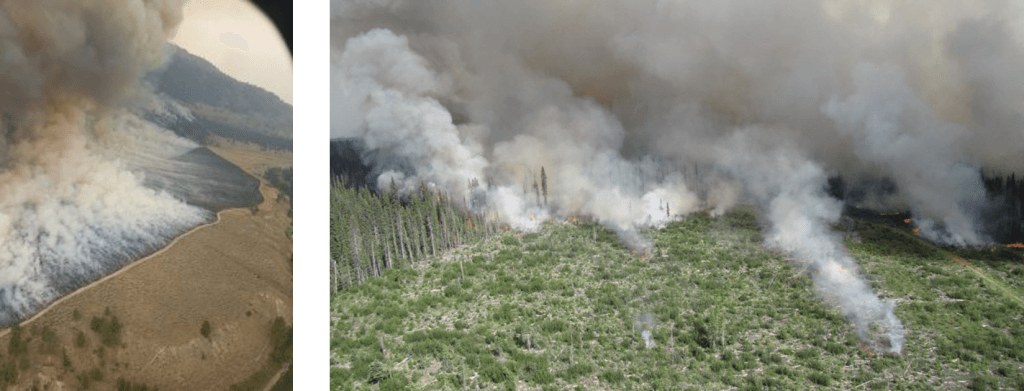 Two aerial images showing forest fires in progress